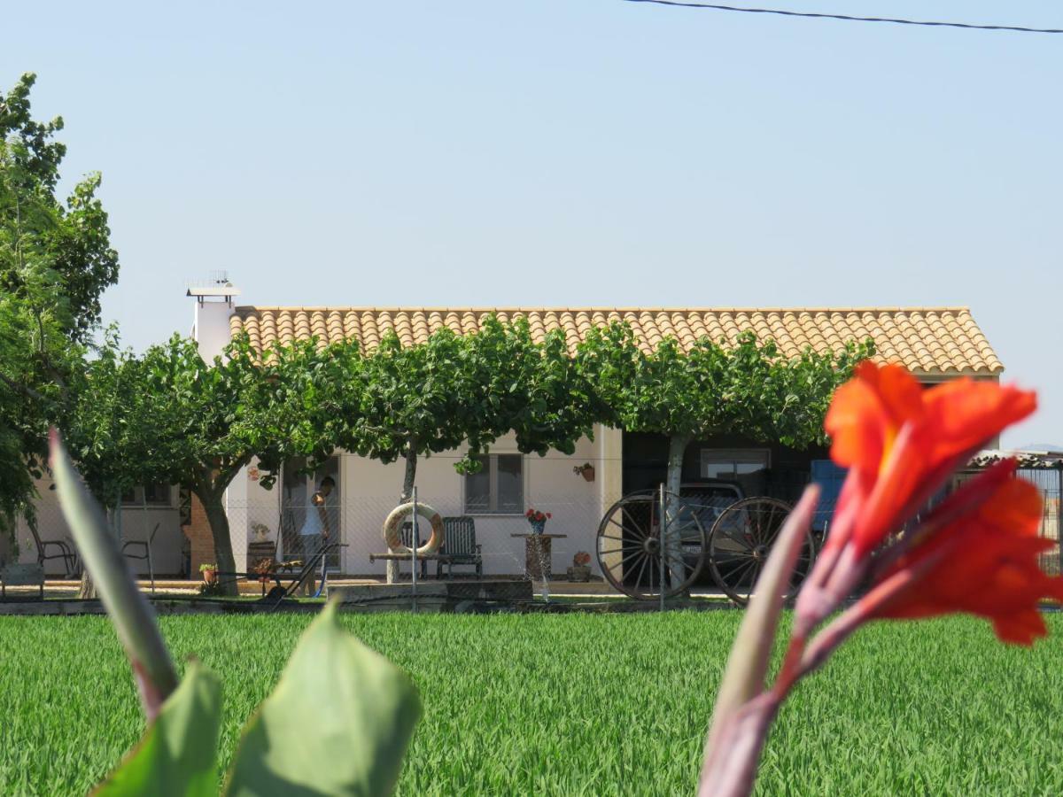 Caseta Montanyana Casa vacanze Deltebre